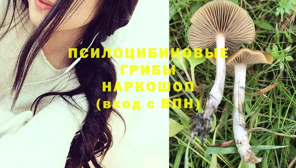 apvp Аркадак
